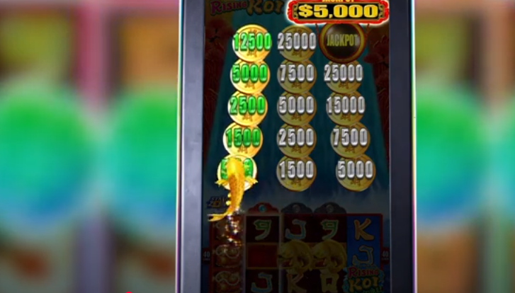 Koi Fish Casino Game